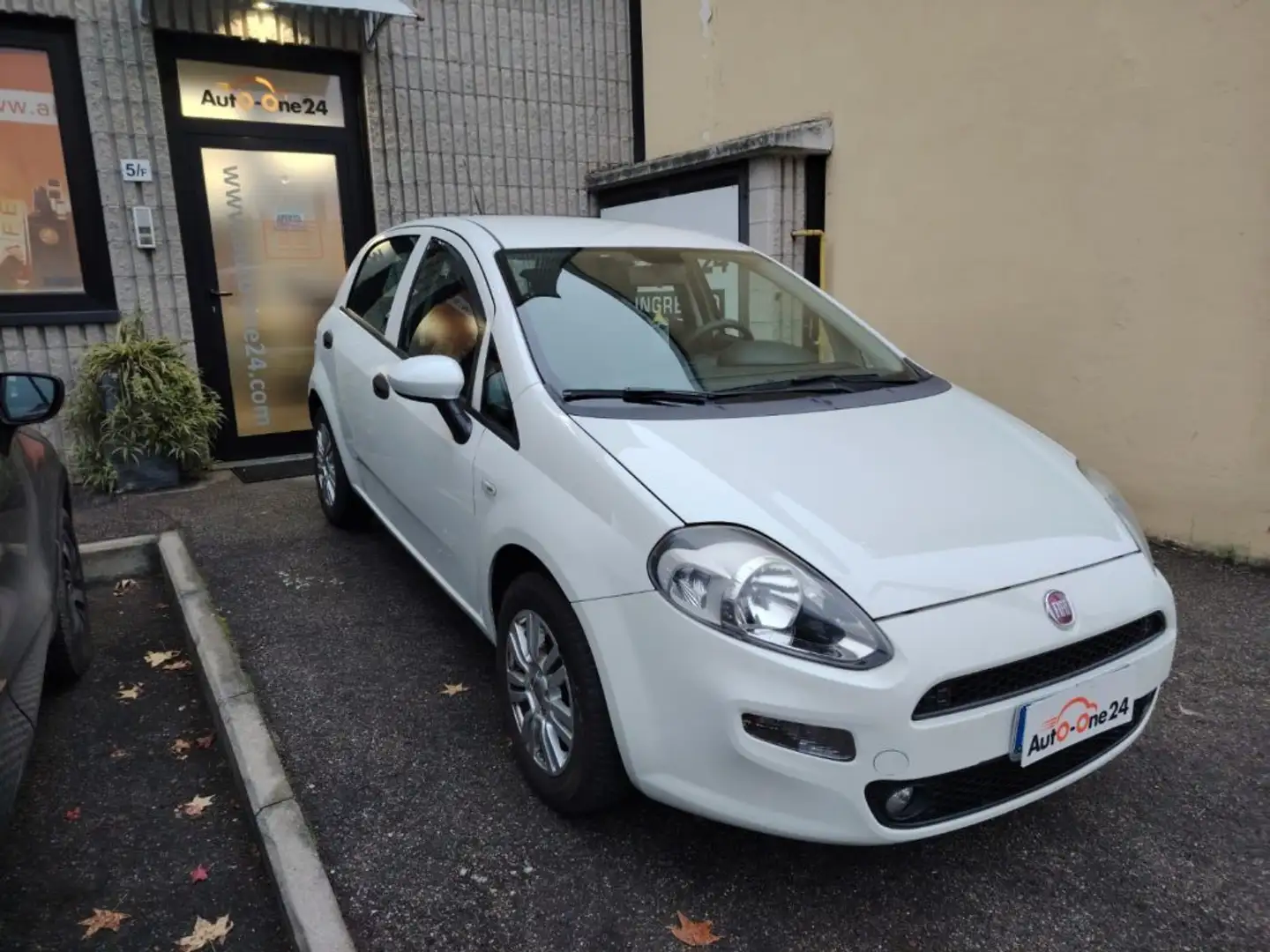 Fiat Punto 1.2 8V 5 porte Street NEOPATENTATI Bianco - 1