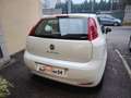 Fiat Punto 1.2 8V 5 porte Street NEOPATENTATI Bianco - thumbnail 8