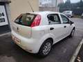 Fiat Punto 1.2 8V 5 porte Street NEOPATENTATI Bianco - thumbnail 7