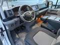 Volkswagen Crafter CRAFTER 4X4 KLIMA NAVI KAMERA AHK PARK-ASSISTENT Weiß - thumbnail 11