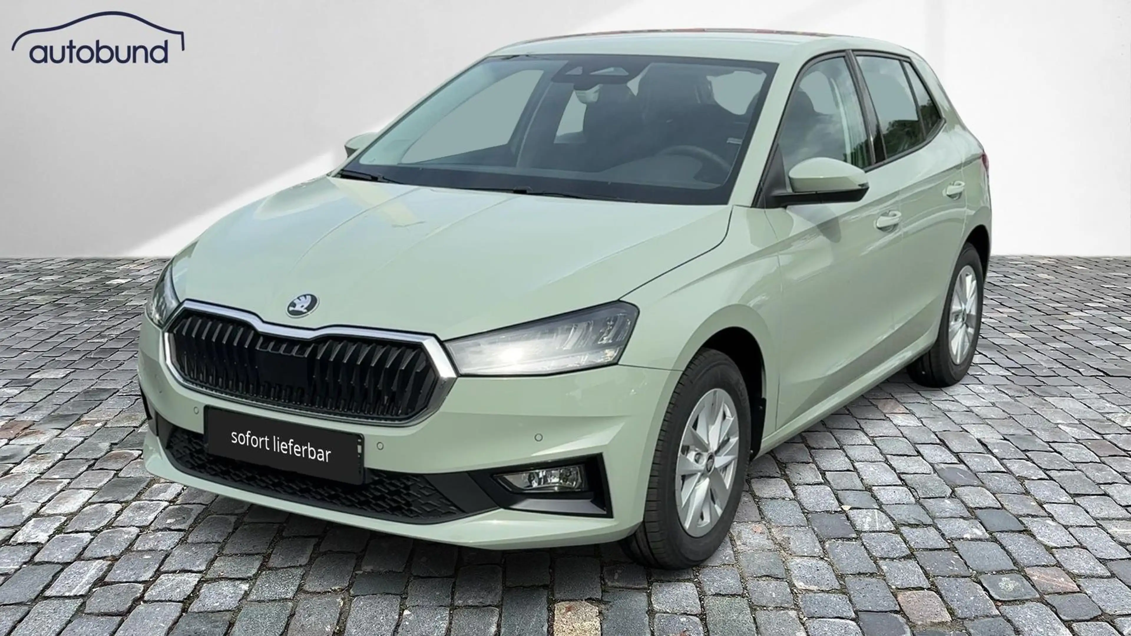 Skoda Fabia IV 1,0 TSI Classic Alu LED Link NBA PDC RFK SHA