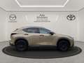Lexus NX 350h E-Four+OVETRAIL+PANO+8FACH BEREIFT !! Beige - thumbnail 6