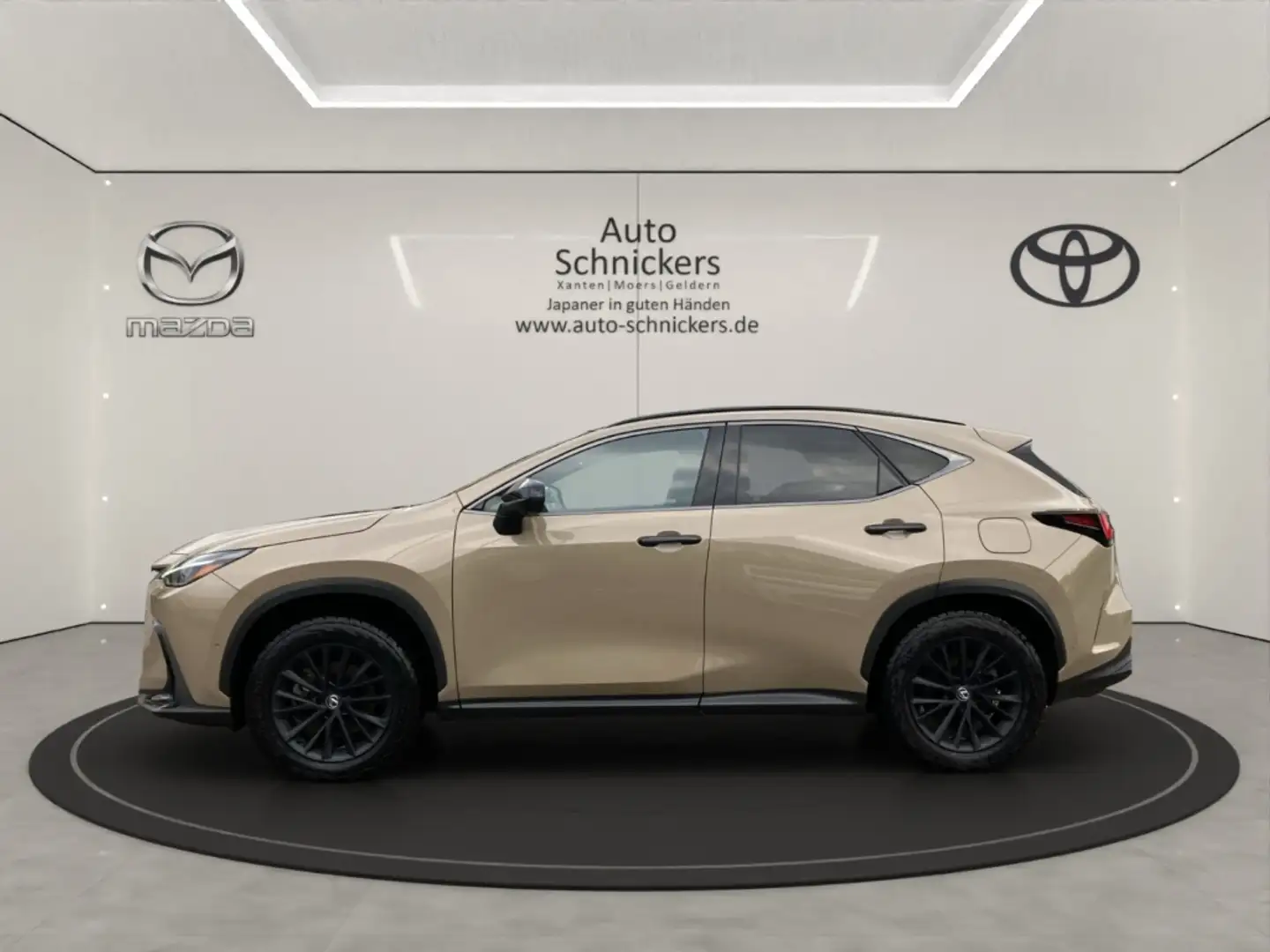 Lexus NX 350h E-Four+OVETRAIL+PANO+8FACH BEREIFT !! Beige - 2