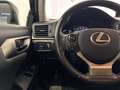 Lexus CT 200h Black & Grey Negro - thumbnail 14