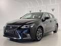 Lexus CT 200h Black & Grey Negro - thumbnail 10