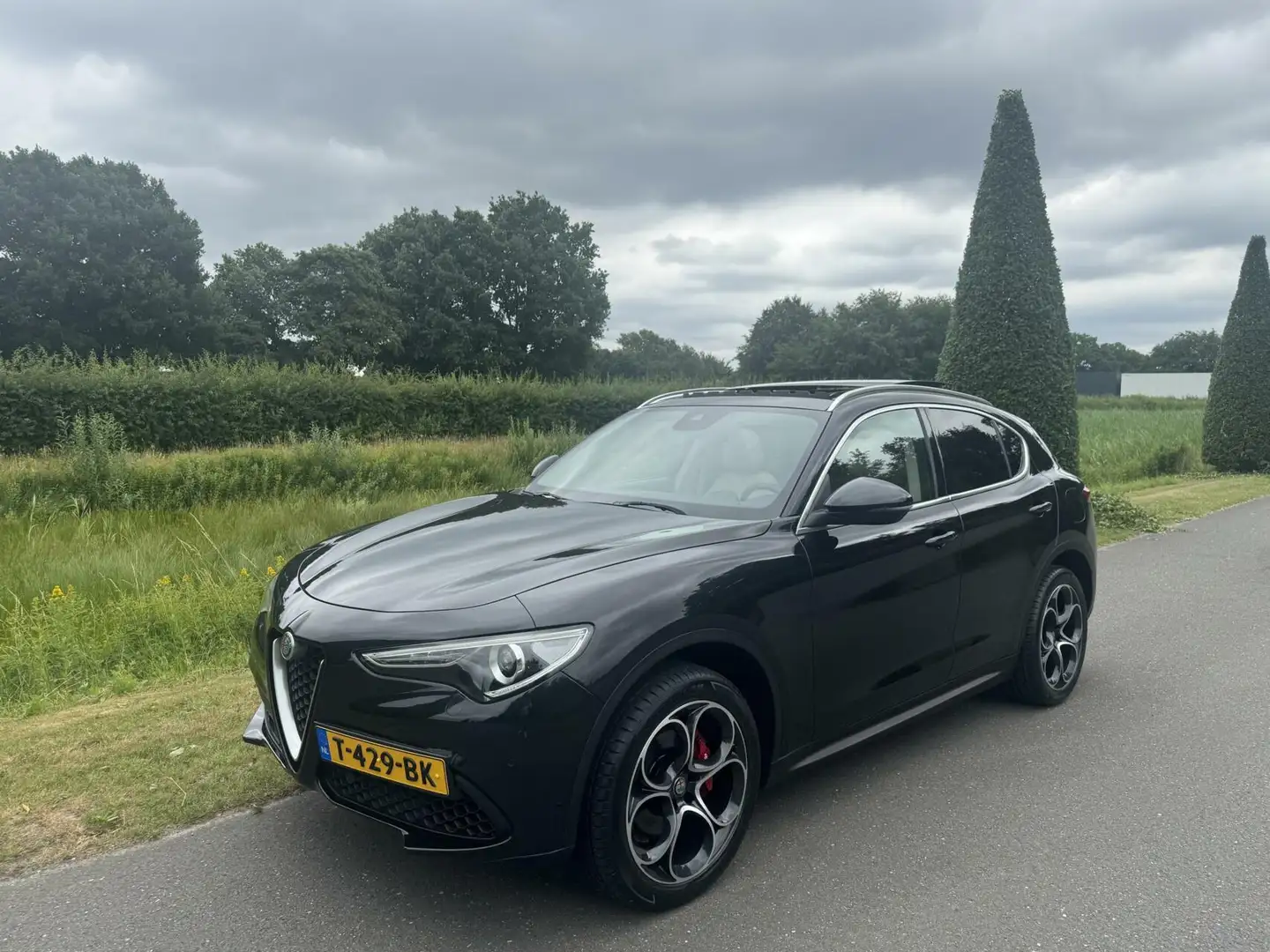 Alfa Romeo Stelvio 2.0 T Q4 Luxery, 320pk, 20",Pano, vol!! Zwart - 2