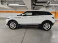 Land Rover Range Rover Evoque SE 2,0 TD4 Aut. Weiß - thumbnail 4