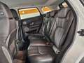 Land Rover Range Rover Evoque SE 2,0 TD4 Aut. Weiß - thumbnail 15