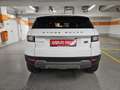 Land Rover Range Rover Evoque SE 2,0 TD4 Aut. Weiß - thumbnail 8