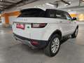 Land Rover Range Rover Evoque SE 2,0 TD4 Aut. Weiß - thumbnail 6