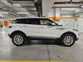 Land Rover Range Rover Evoque SE 2,0 TD4 Aut. Weiß - thumbnail 5