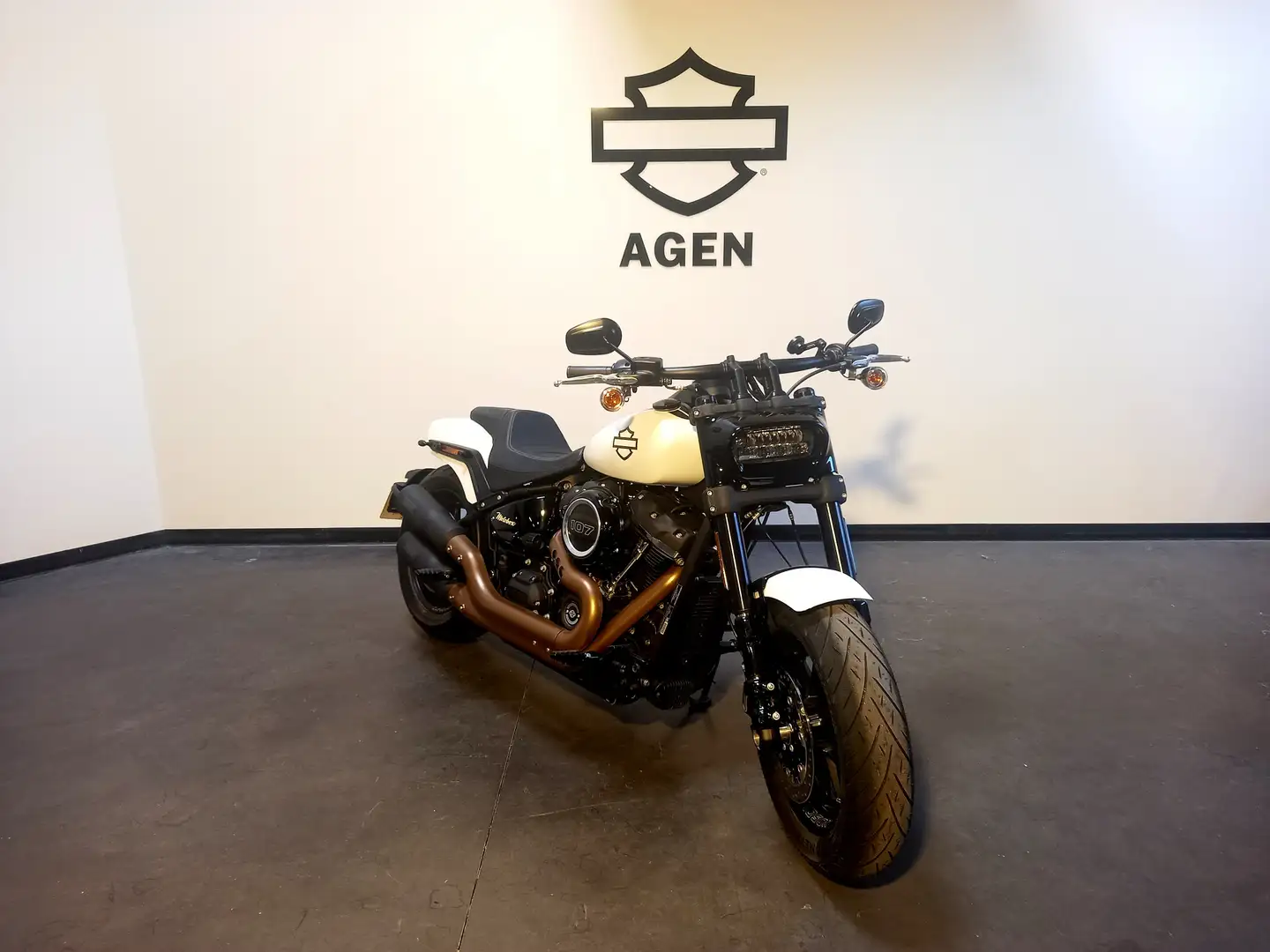 Harley-Davidson Softail - 1