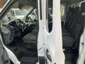Ford Transit Doka-Pritsche,Pickerl+Servive Neu,Mwst.Ausweisbar Weiß - thumbnail 10