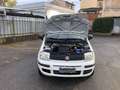 Fiat Panda 1.4 Natural Power Classic Bianco - thumbnail 15