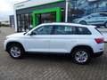 Skoda Kodiaq Ambition *PDCkamera*CANTON*SmartLink* Weiß - thumbnail 9