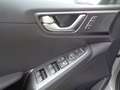 Hyundai IONIQ Ioniq Elektro 38kWh Level 5 Aut. Grau - thumbnail 10