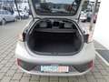Hyundai IONIQ Ioniq Elektro 38kWh Level 5 Aut. Grau - thumbnail 4