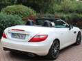 Mercedes-Benz SLK 250 SLK 250 CDI (BlueEFFICIENCY) 7G-TRONIC Blanc - thumbnail 13