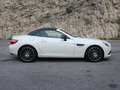 Mercedes-Benz SLK 250 SLK 250 CDI (BlueEFFICIENCY) 7G-TRONIC Blanc - thumbnail 8