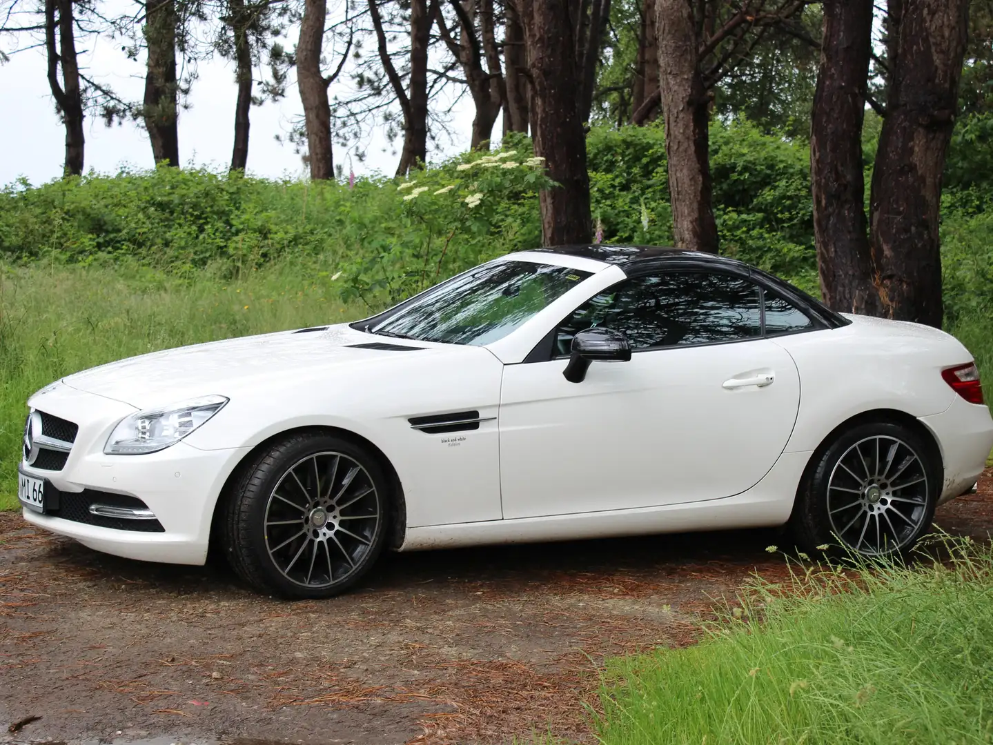 Mercedes-Benz SLK 250 SLK 250 CDI (BlueEFFICIENCY) 7G-TRONIC Blanc - 1