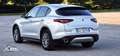 Alfa Romeo Stelvio Stelvio 2020 2.2 t Executive Q4 190cv auto Argento - thumbnail 7