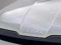 Skoda Elroq Elektromotor 82 kWh 286pk Business Edition - Tour Groen - thumbnail 22