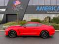 Ford Mustang Shelby GT350 V8 5.2L  - PAS DE MALUS Rouge - thumbnail 2