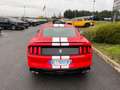 Ford Mustang Shelby GT350 V8 5.2L  - PAS DE MALUS Rouge - thumbnail 4