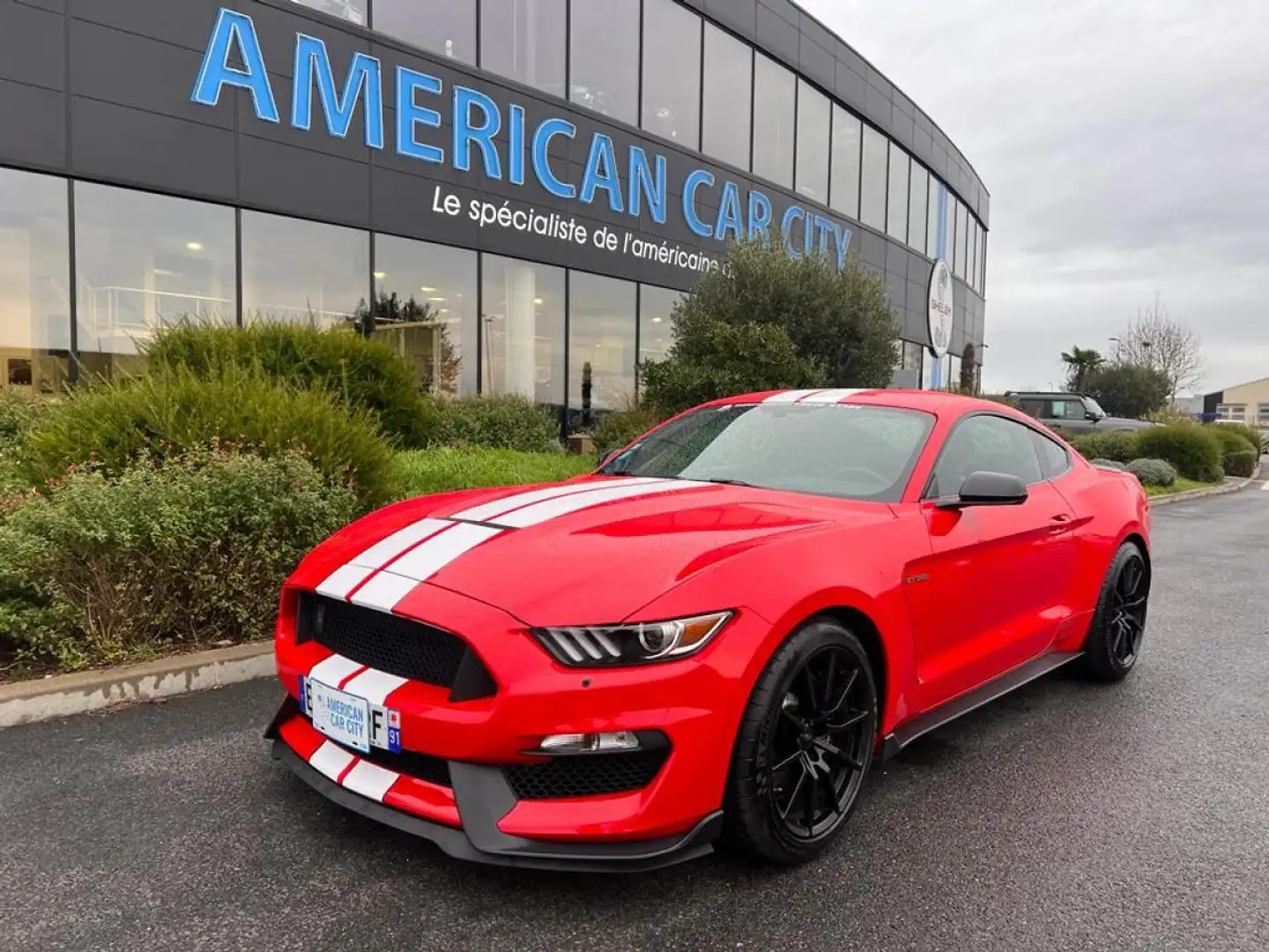 Ford Mustang Shelby GT350 V8 5.2L  - PAS DE MALUS Rouge - 1