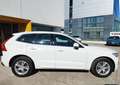 Volvo XC60 XC60 2.0 d4 Business awd geartronic my18 Weiß - thumbnail 4