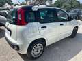 Fiat Panda 1.2 OUTLET Bianco - thumbnail 6