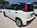 Fiat Panda 1.2 OUTLET Bianco - thumbnail 4