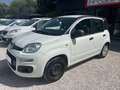 Fiat Panda 1.2 OUTLET Bianco - thumbnail 3