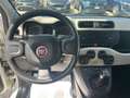 Fiat Panda 1.2 OUTLET Bianco - thumbnail 11