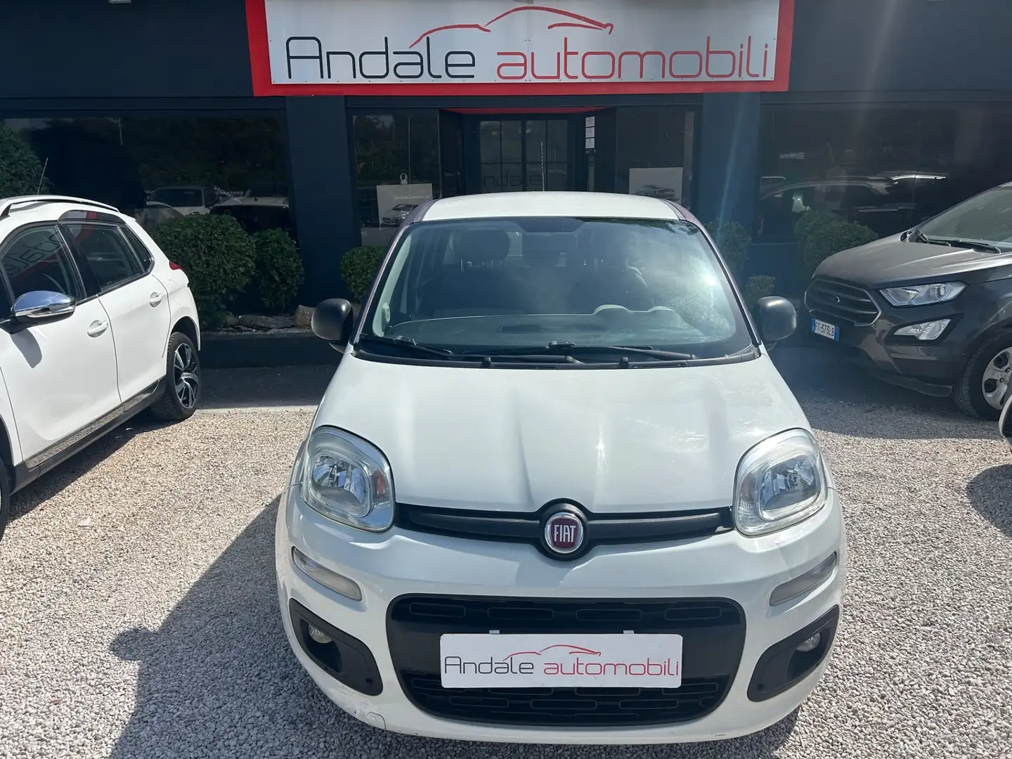 Fiat Panda 1.2 OUTLET Bianco - 1