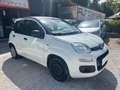 Fiat Panda 1.2 OUTLET Bianco - thumbnail 2