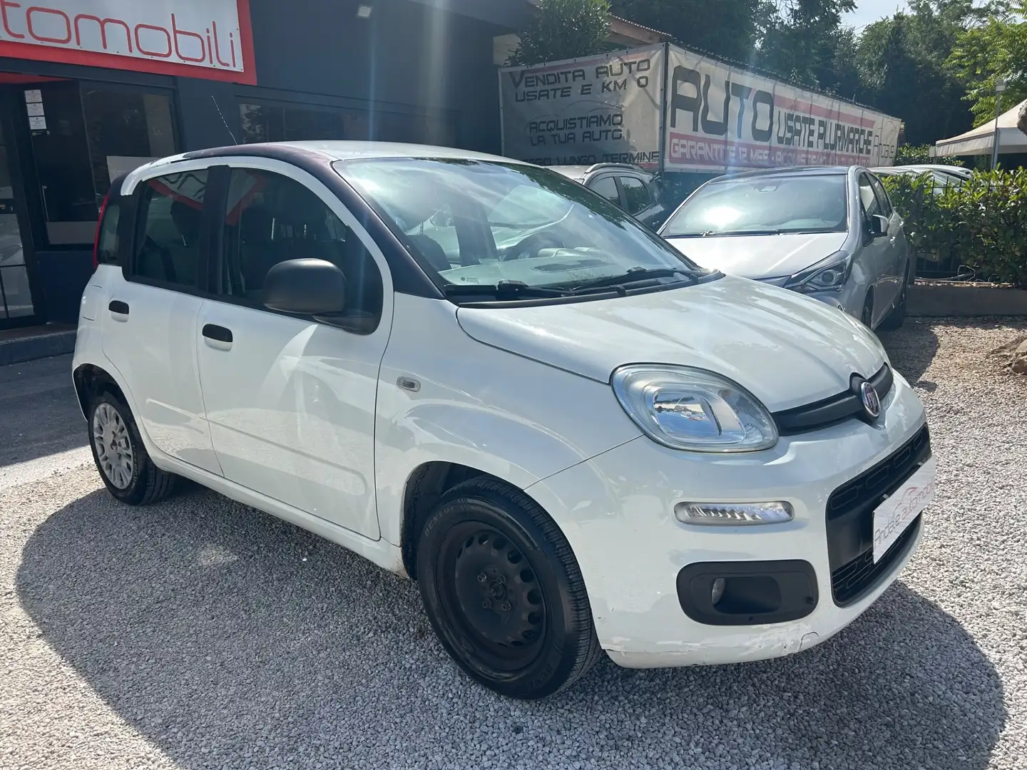 Fiat Panda 1.2 OUTLET Bianco - 2