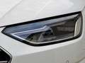 Audi A4 A4 35 TDI S- Tronic Adv. Panorama*ACC*Sportsitze! Schwarz - thumbnail 31