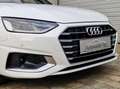 Audi A4 A4 35 TDI S- Tronic Adv. Panorama*ACC*Sportsitze! Schwarz - thumbnail 13