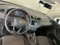 SEAT Ibiza Ibiza 1,0 Fast Lane Style Fast Lane Style Weiß - thumbnail 11
