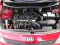 Kia Rio 1,2 CVVT Cool Rot - thumbnail 15