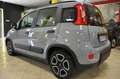 Fiat New Panda 1.0 GSE Hybrid **KM CERTIFICATI/OK NEOPATENTATI** Gris - thumbnail 4
