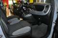 Fiat New Panda 1.0 GSE Hybrid **KM CERTIFICATI/OK NEOPATENTATI** Gris - thumbnail 11