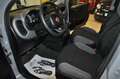 Fiat New Panda 1.0 GSE Hybrid **KM CERTIFICATI/OK NEOPATENTATI** Gris - thumbnail 7