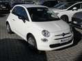 Fiat 500 500 III 2015 1.2 Pop 69cv my20 Weiß - thumbnail 1
