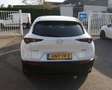 Mazda CX-30 2.0 e-SkyActiv-G M Hybrid Comfort Clima,Cruise,Nav Blanc - thumbnail 7