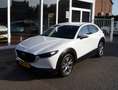 Mazda CX-30 2.0 e-SkyActiv-G M Hybrid Comfort Clima,Cruise,Nav Blanc - thumbnail 12