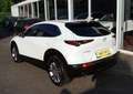 Mazda CX-30 2.0 e-SkyActiv-G M Hybrid Comfort Clima,Cruise,Nav Blanc - thumbnail 6