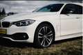 BMW 420 420 d Sport Line Weiß - thumbnail 5