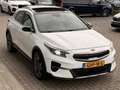 Kia XCeed 1.6 GDi PHEV DynamicPlusLine | Pano | Trekhaak | S Wit - thumbnail 13